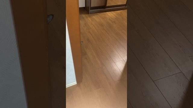 Я тебя вижу…