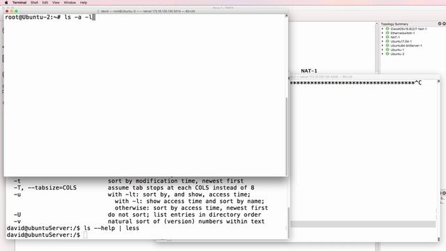 002. Abbreviated and long arguments, owners, groups and permissions
