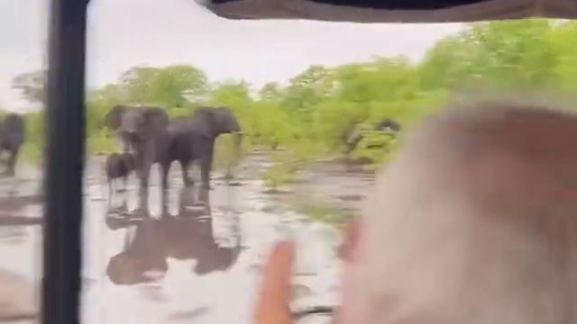 @elleafricasafaris=1a086e