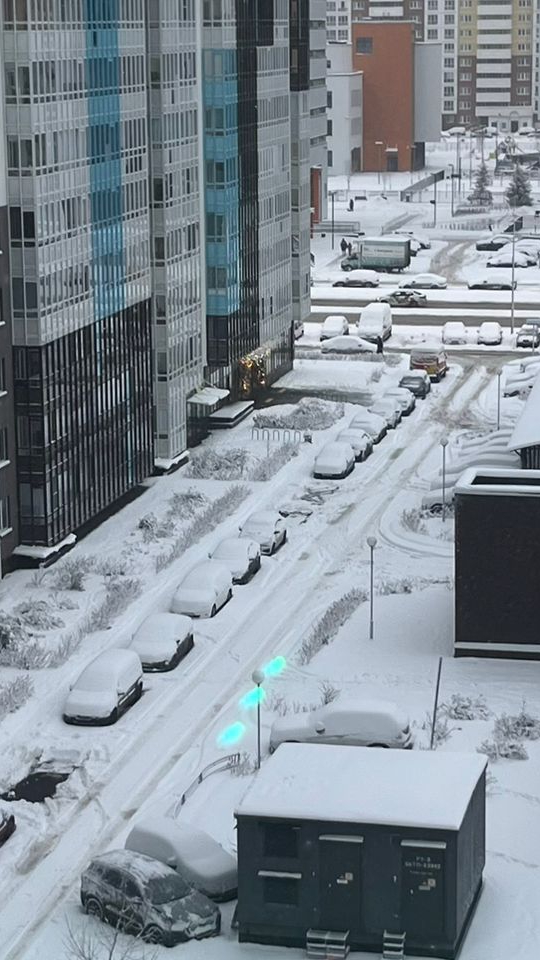 Сенсация в Питере выпал снег.