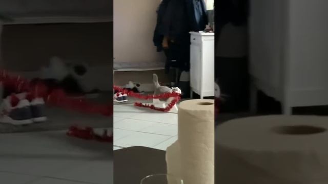 1000012951.mp4