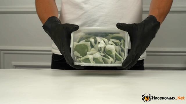 Цунами Супер Экстра Комби средство, приманка, отрава от грызунов, крыс и мышей