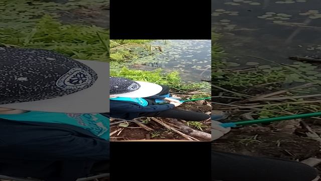 С сыном на рыбалке