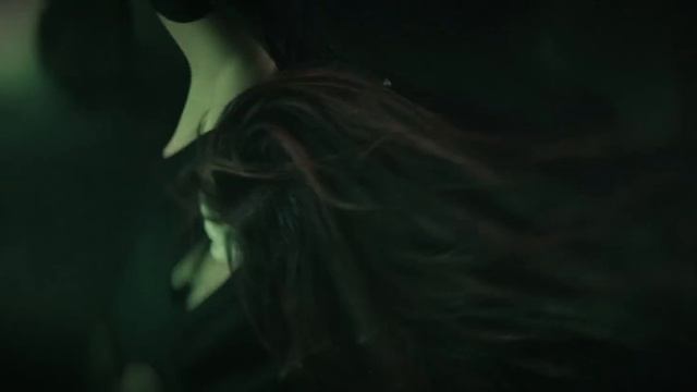ELUVEITIE - Premonition (OFFICIAL MUSIC VIDEO)