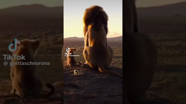 1000014828.mp4