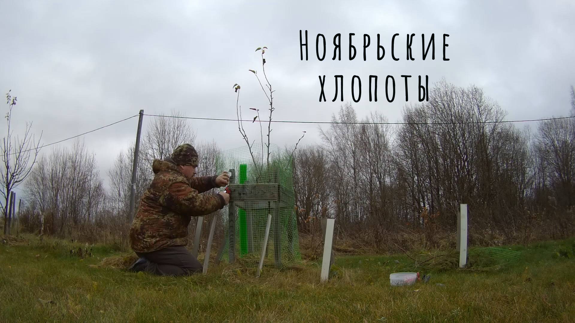 Ноябрьские хлопоты 09.11.2024