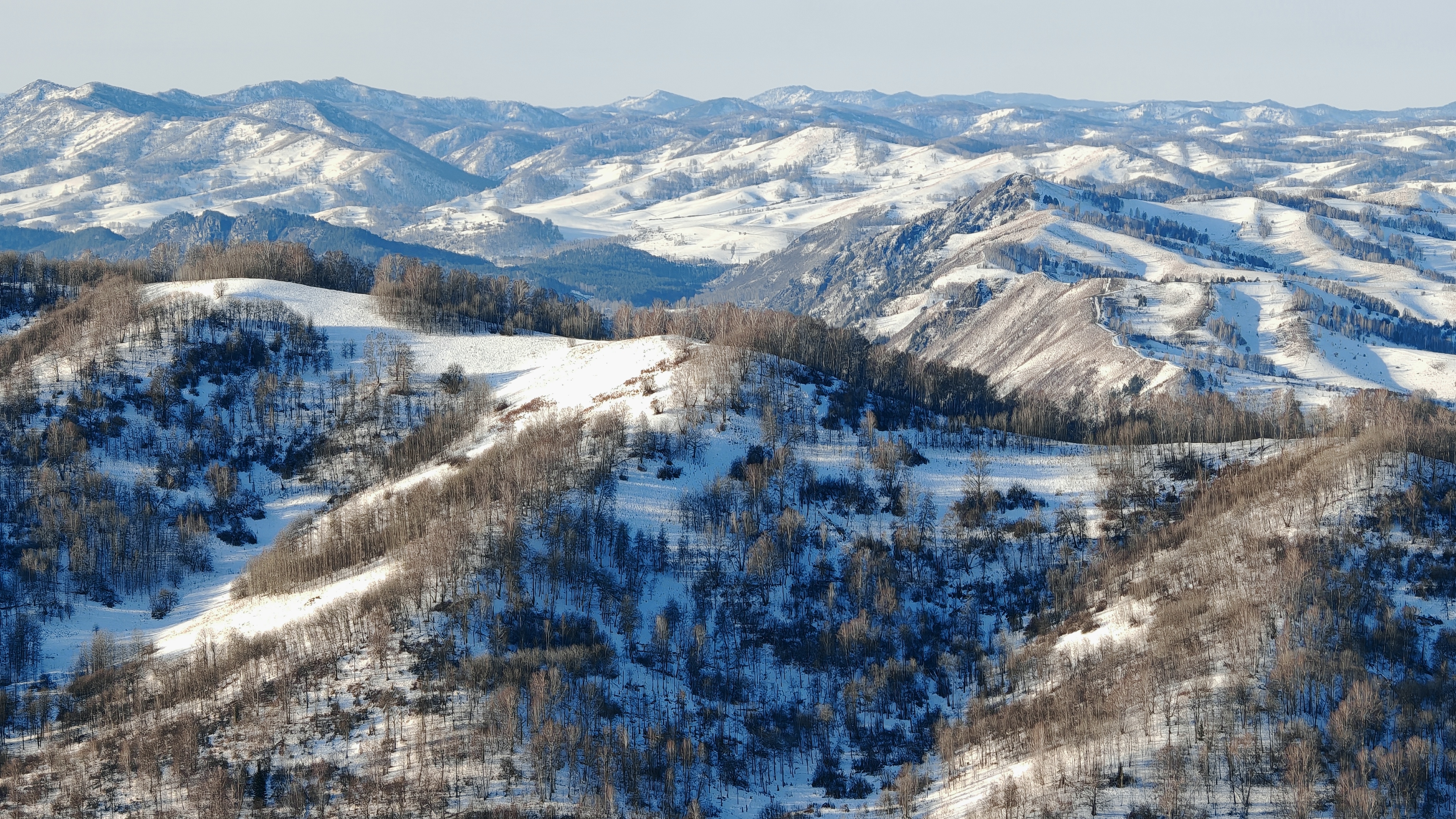 Подъем на гору Лысуху (Горный-Алтай) за 1.5 часа.