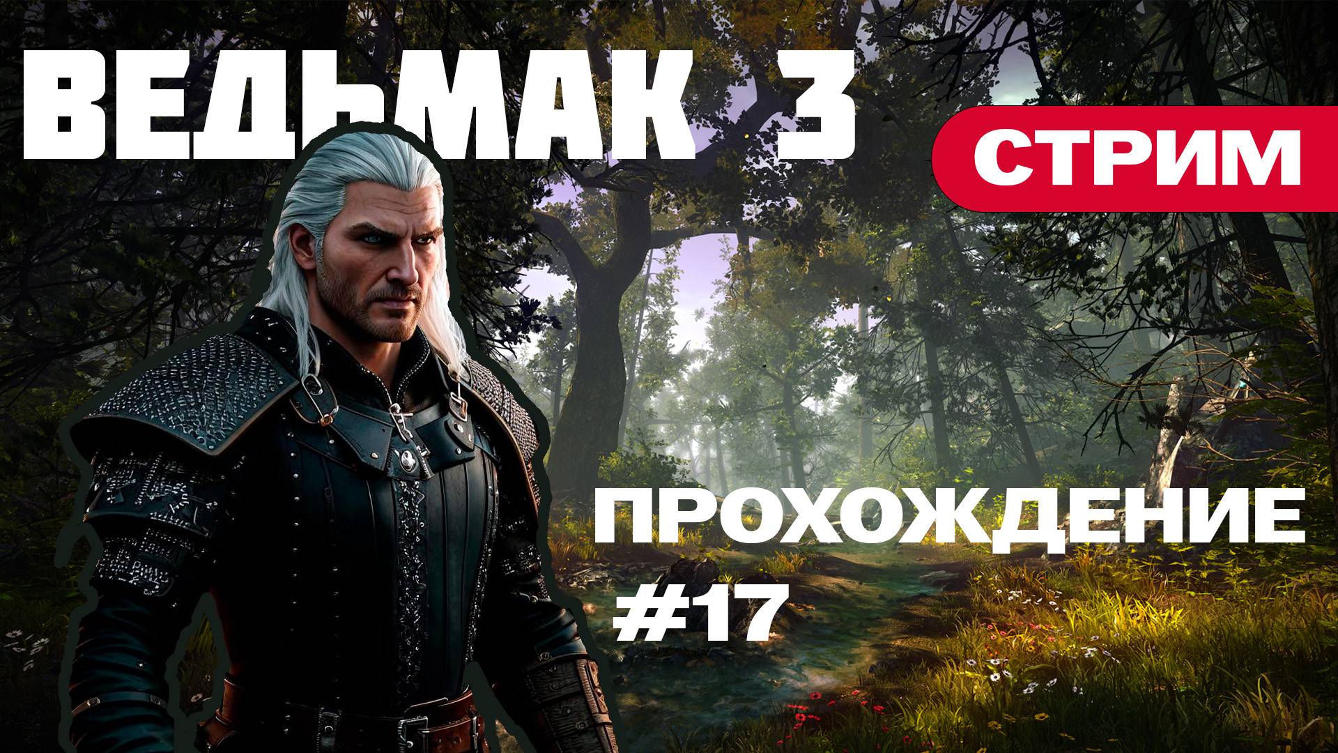 Прохождение Ведьмак 3. Делаем сюжет с Трисс и побочные задания | Часть №17