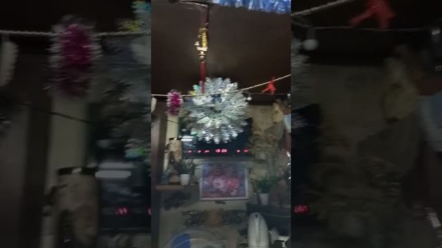 2024-12-15-101957798