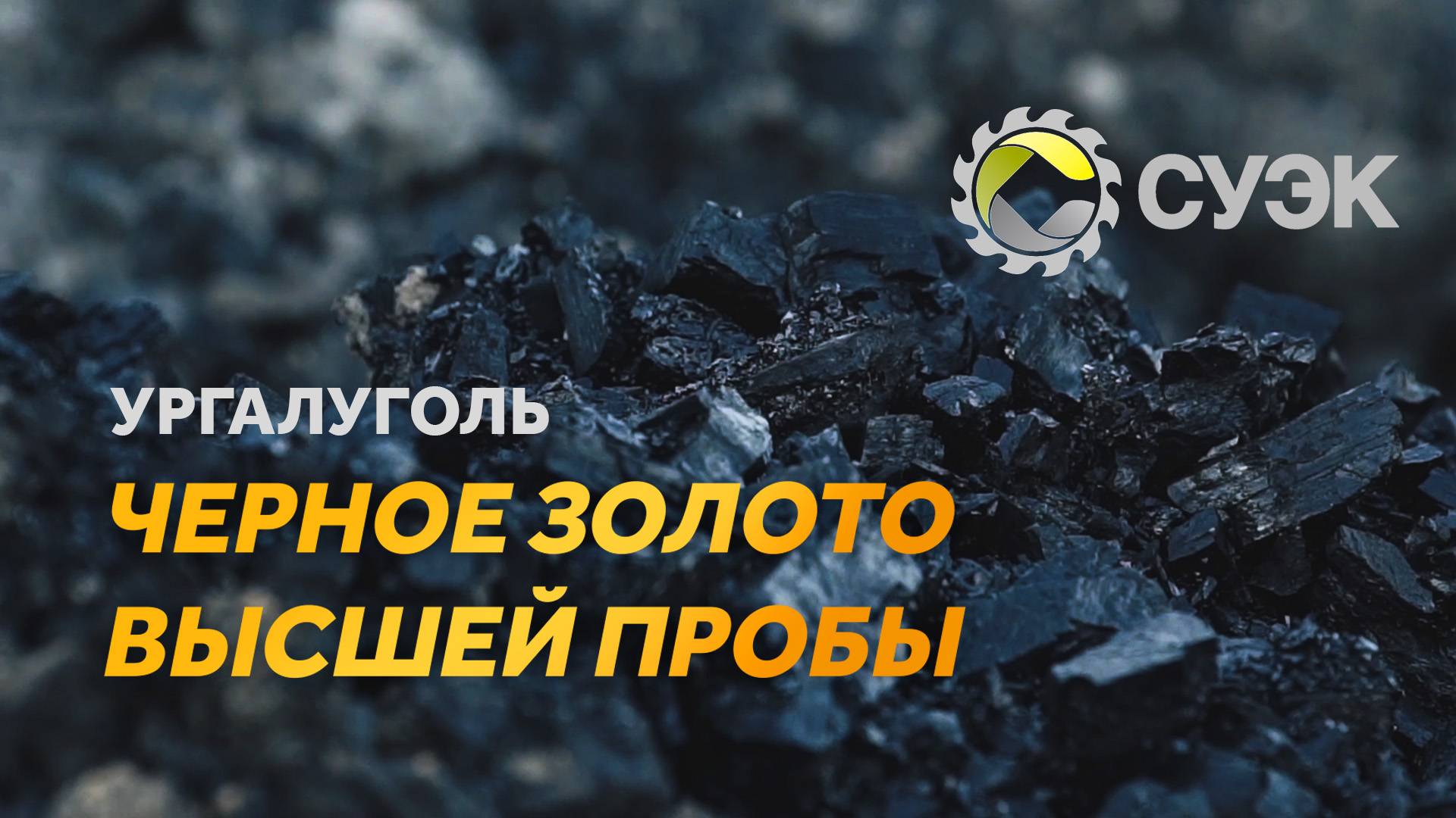 Черное золото высшей пробы