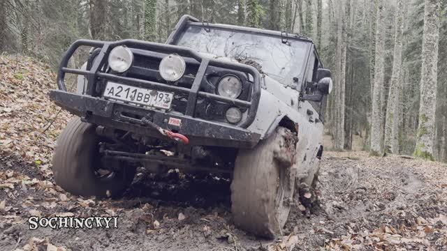 Мальчики на природе