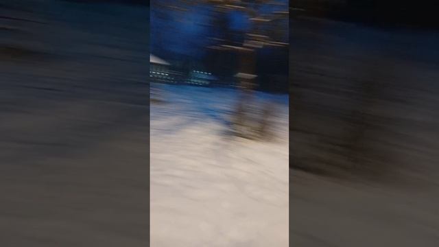 scene_output.mp4