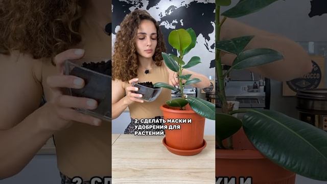 Как экологично использовать кофе?