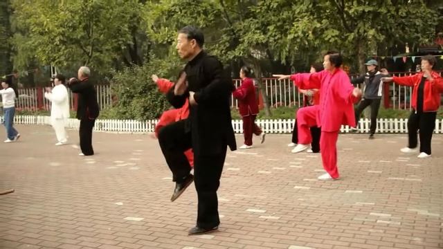Chen Style "83 Forms" in MIRROR VIEW for comfort Learning - 陈氏太极拳 - 83式 - Chen shi Tai ji quan
