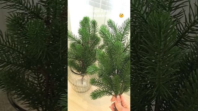 Еловые ветки с Wb😍
Арт.293118239
#распаковка #wbобзорwbобзор#еловыеветкиwb#покупки#новыйгод#ёлка