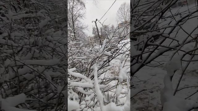 Первый снег!!