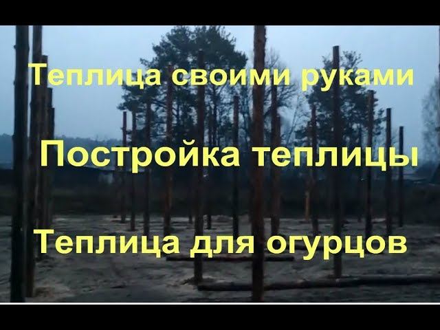 Теплица своими руками. О стоимости. Постройка теплицы. Теплица для огурцов