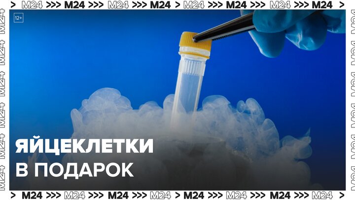 Москвички начали замораживать и "дарить" свои яйцеклетки - Москва 24