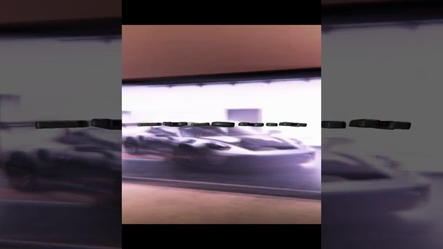1000008655.mp4