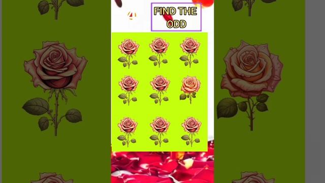 Здесь есть ДРУГАЯ роза. Найди её за 10 секунд #головоломка #тест #тестнавнимательность