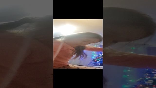 тутор на мой дом