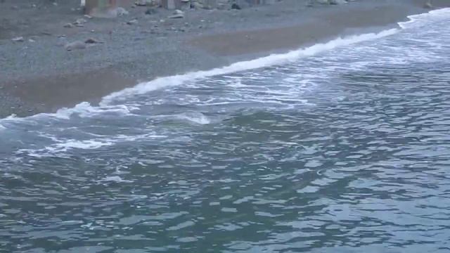 Море в Алуште 10 января 2016
