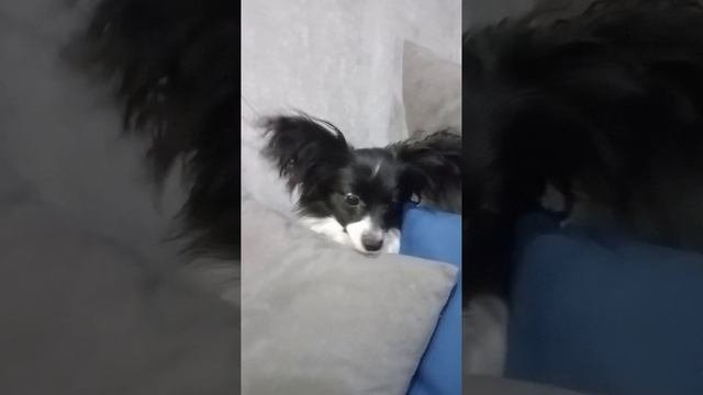 игра