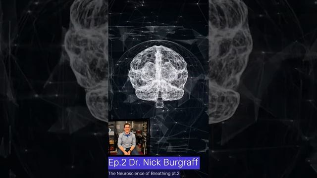 Dr. Nick Burgraff- The Neuroscience of Breathing. Clip from The Neuro Network Podcast