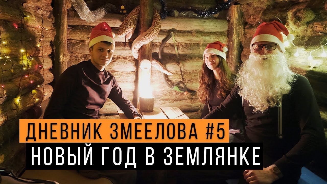 Огромная змея в ЗЕМЛЯНКЕ - Дневник змеелова #5 / Новогодний выпуск