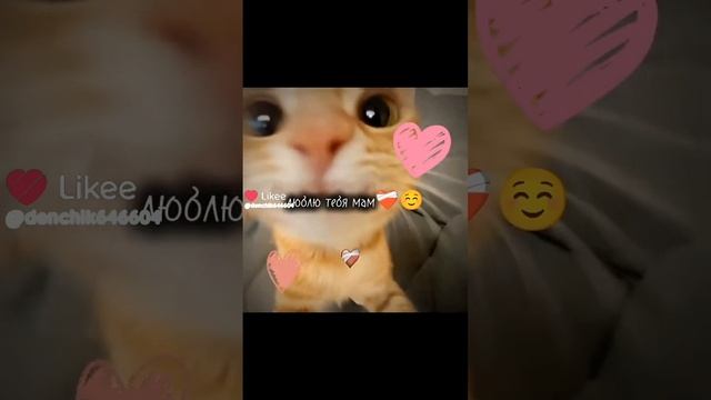 lv_0_20241207225923.mp4