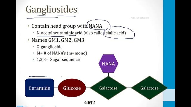 Biochemistry - 6. Other Topics - 1. Lysosomal Storage Diseases atf