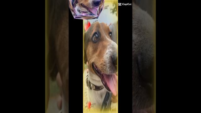 1000007878.mp4