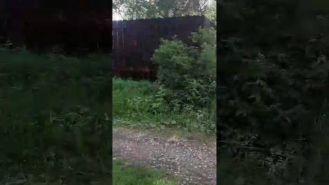 VID-20240720-WA0002.mp4