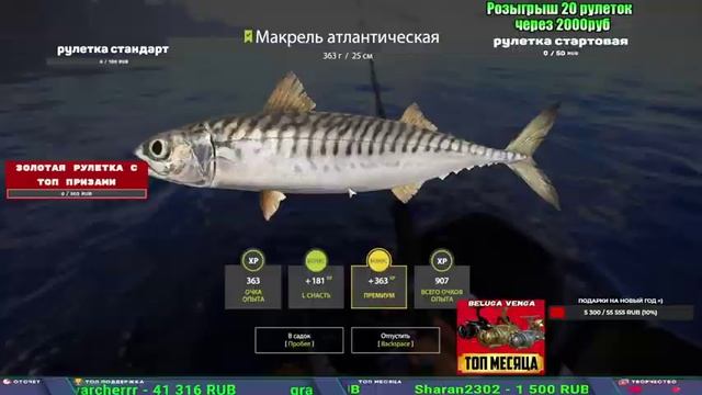 МОРСКОЙ ФАРМ И ЗА ГУСТЕРОЙ НА ВЬЮНОК В РУССКОЙ РЫБАЛКЕ 4 СТРИМ РОЗЫГРЫШИ РР4