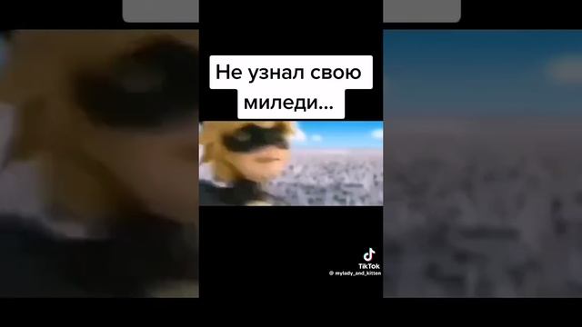 леди баг и супер кот