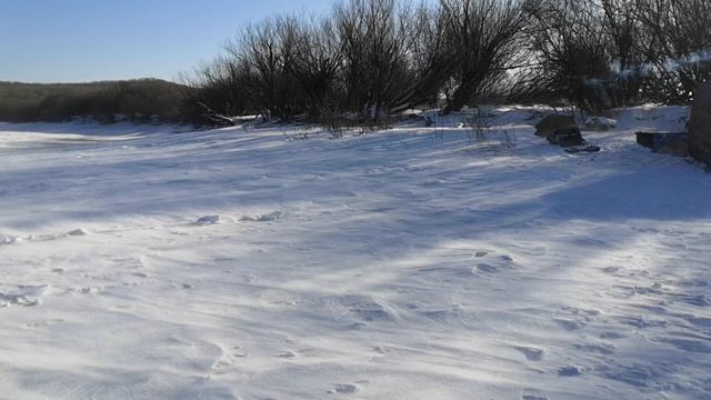 Палатка Куб 2,2 Берег на ветру