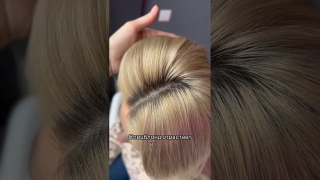 Спецблонд отрастает так
