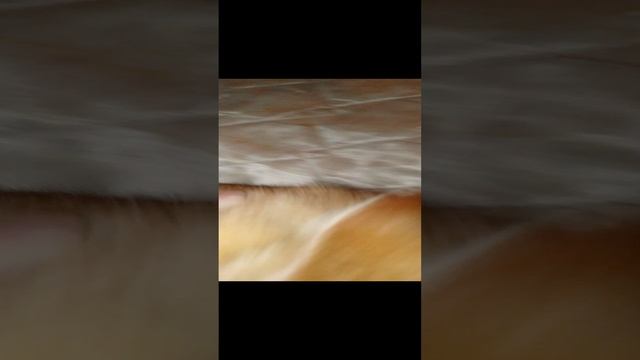 15-12-2024