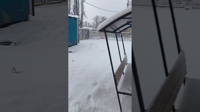 красота в декабре!)