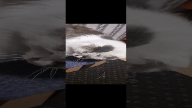 я у бабушке👵