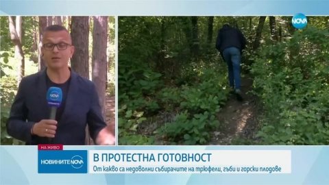 Новините на NOVA (28.04.2024 - обедна емисия)