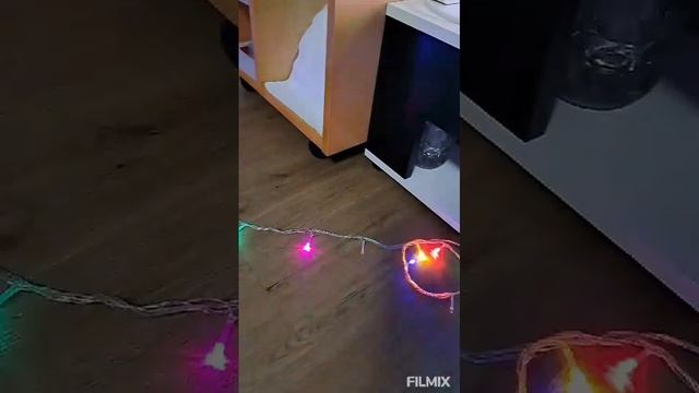1000192866.mp4