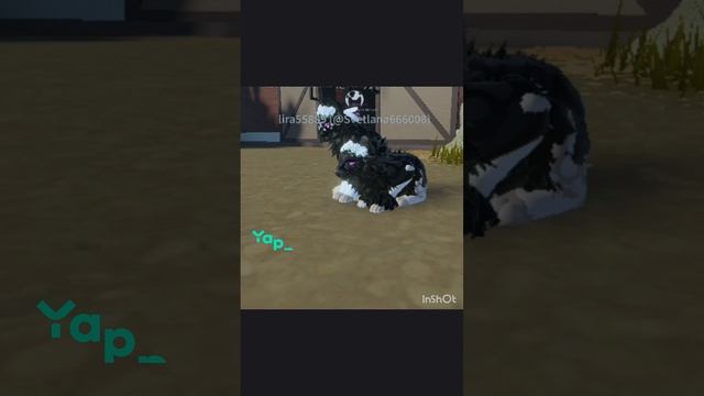 1006819184.mp4