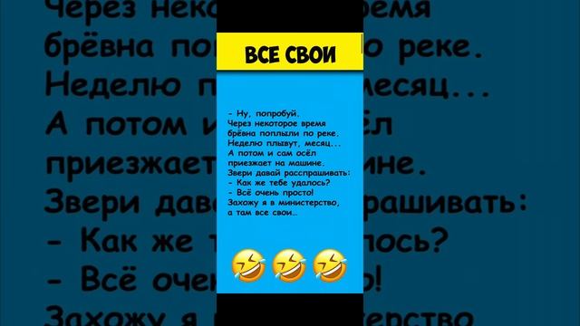 все свои