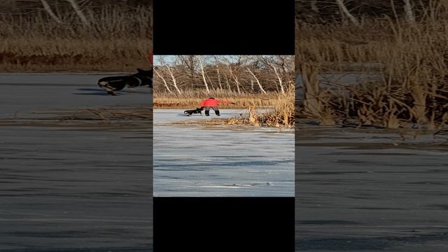 Фигурист и помощники на замёрзшем озере