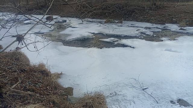 Огонь, вода и рыба на углях