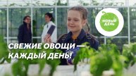 Свежие овощи — каждый день! Рекламный ролик бренда Новый день