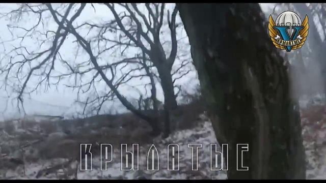 Кадры штурма позиций ВСУ глазами десантников-разведчиков