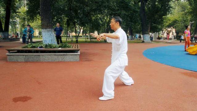 18 Forms (back view) Chen shi #TaiJiQuan #陈氏 #太极拳 -18式 - Чень ши #Тайцзицюань / Shifu in white 2019