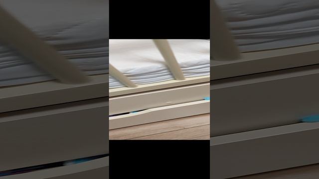 1000293533.mp4